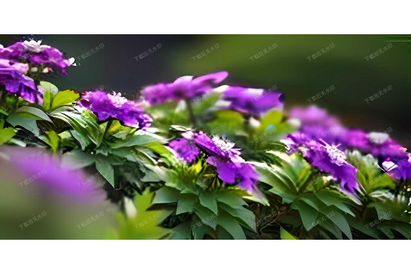 杭州滨江按摩技师:舒缓身心,享受专业保健按摩 杭州滨江按摩技师:舒缓身心,享受专业保健按摩